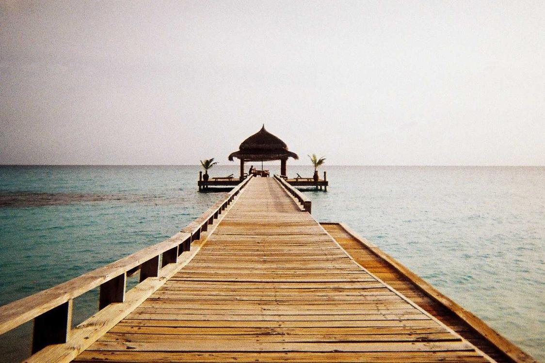 Saepe facilis amet quia